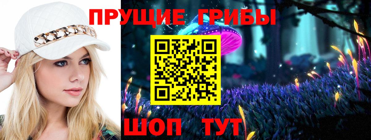 купить наркотик  Вход с VPN  Вязьма  Галлюциногенные грибы Magic Shrooms 